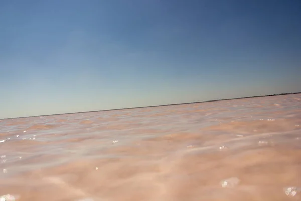 塩辛いピンク色の湖ブルソルの水の近く アルタイ準州 — ストック写真