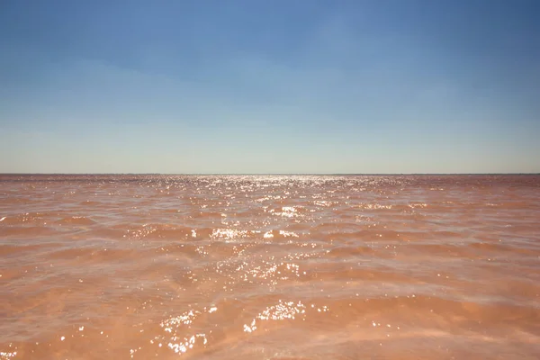 塩辛いピンク色の湖ブルソルの水の近く アルタイ準州 — ストック写真