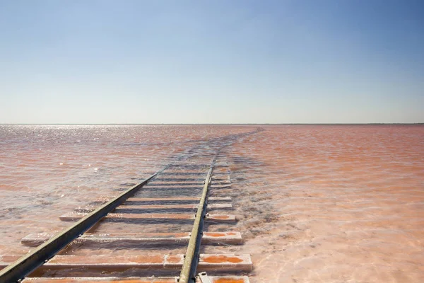 Zbliżenie Kolei Plaży Słone Różowe Jezioro Bursol Terytorium Altai — Zdjęcie stockowe