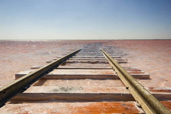 Primer Plano Del Ferrocarril Playa Del Lago Rosa Salado Bursol — Foto de Stock