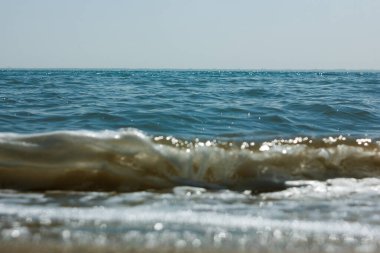 Bolşoy Yarovoe tuz gölünün (Altai Bölgesi) kumsalına ve suyuna yakın çekim).