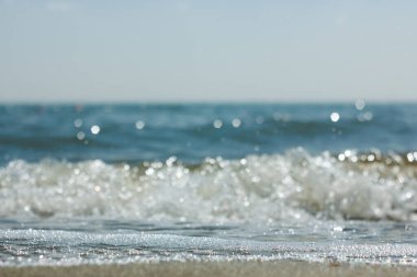 Bolşoy Yarovoe tuz gölünün (Altai Bölgesi) kumsalına ve suyuna yakın çekim).