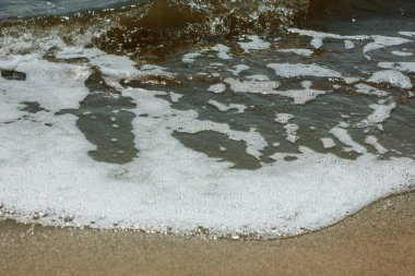 Bolşoy Yarovoe tuz gölünün (Altai Bölgesi) kumsalına ve suyuna yakın çekim).