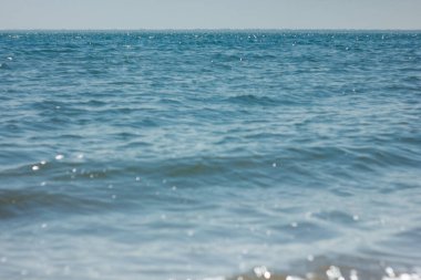Bolşoy Yarovoe tuz gölünün (Altai Bölgesi) kumsalına ve suyuna yakın çekim).
