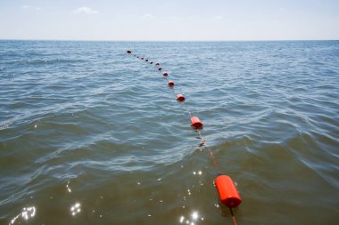 Bolşoy Yarovoe tuz gölünün (Altai Bölgesi) kumsalına ve suyuna yakın çekim).