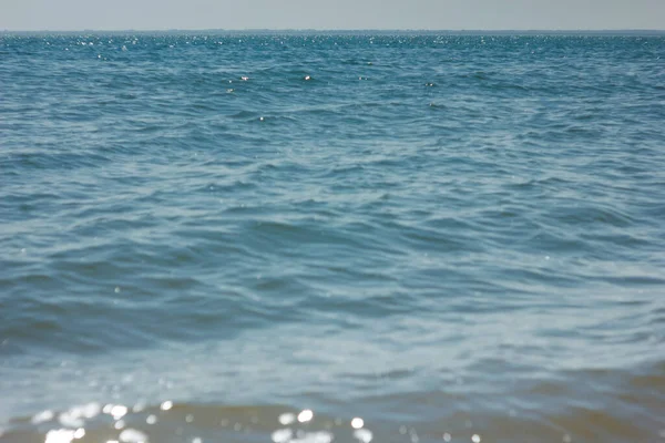 对Bolshoye Yarovoe盐湖 阿尔泰地区 海滩和水进行的近距离调查 — 图库照片