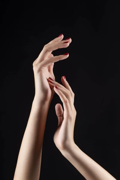 Closeup of beautiful woman hands with red manicure on the nails. Cream for palms, manicure and beauty treatment. Elegant and graceful arms with slender graceful fingers. Copy space. Isolated on black.