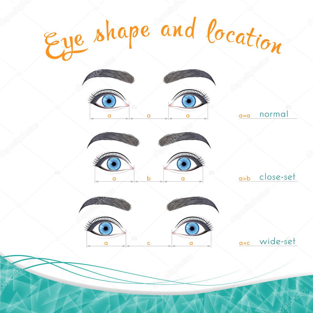 Eye locations in width, normal, close-set, wide-set against a white background