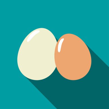 iki yumurta farklı renklerde. uzun gölge ile düz bir tasarımda bir simge. vektör çizim