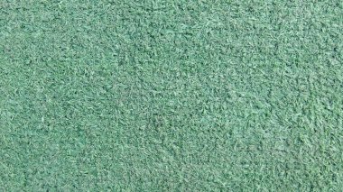 Suni Çim yeşil. Doku üstten görünüm