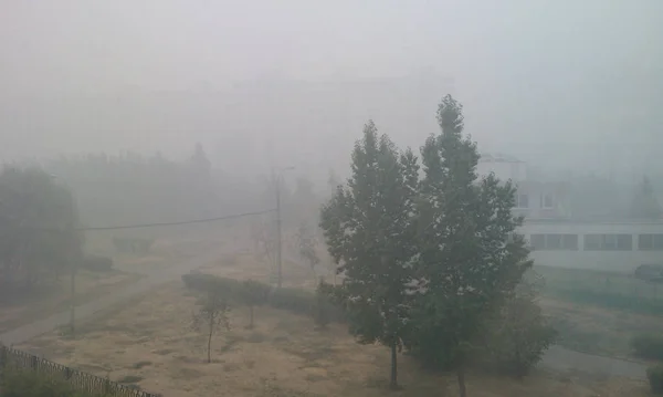 Thick smog from burning forests with peat in the city in summer
