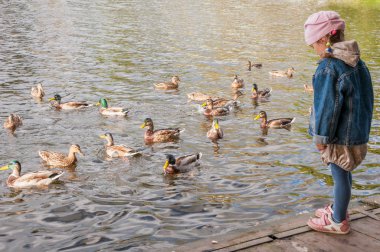 Rusya, Sergiev Posad - 16 Eylül 2017. Sonbaharda ördek gölet küçük üzgün kız bakar