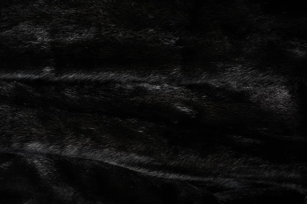 Textúra a természetes fekete fényes szőrme — Stock Fotó