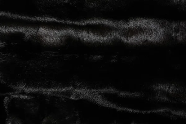 Texture of natural black shiny fur — Stock Photo, Image