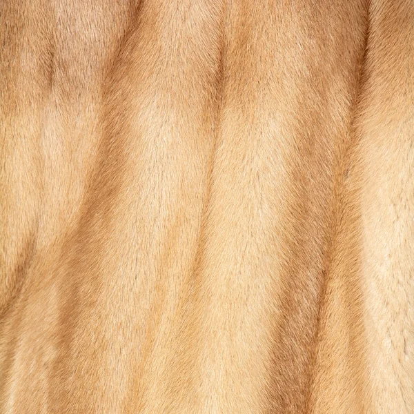 A textúra a természetes foltos vörös és bézs, barna szőrme, gyönyörű ráncok — Stock Fotó