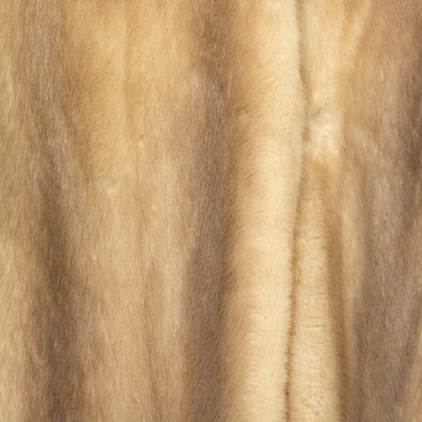 天然棕色和米色毛皮的纹理 — 图库照片