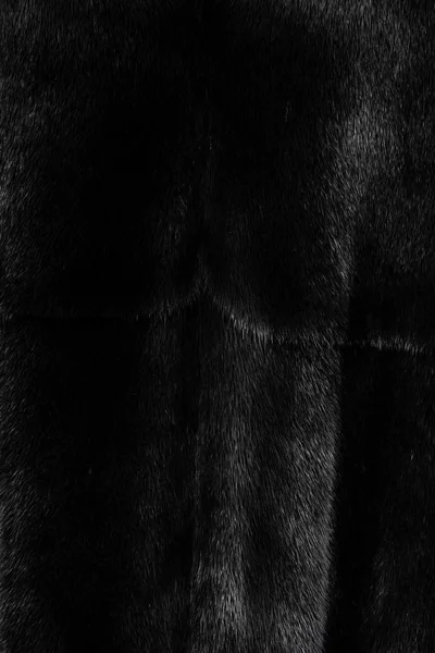 Tekstura naturalnego czarnego błyszczącego futra — Zdjęcie stockowe