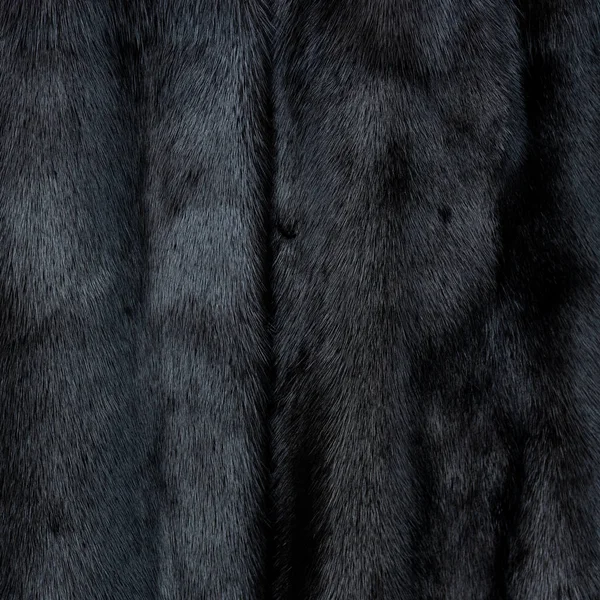 Texture of natural black shiny fur with beautiful wavy folds