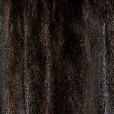 Kürk deseni kahverengi, tüylü ve kabarık, yanardöner, parlak yakın plan