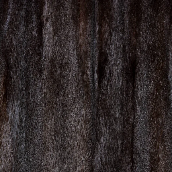Fur Tekstury Brązowe Kudłaty Puszyste Opalizujące Błyszczące Zbliżenie — Zdjęcie stockowe