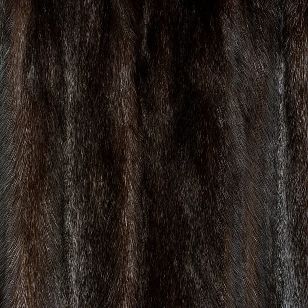Fur Texture Brown Shaggy Fluffy Iridescent Shiny Closeup — Stock Photo, Image