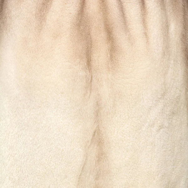 Textur Aus Natürlichem Licht Sanft Beige Pelz Nahaufnahme — Stockfoto
