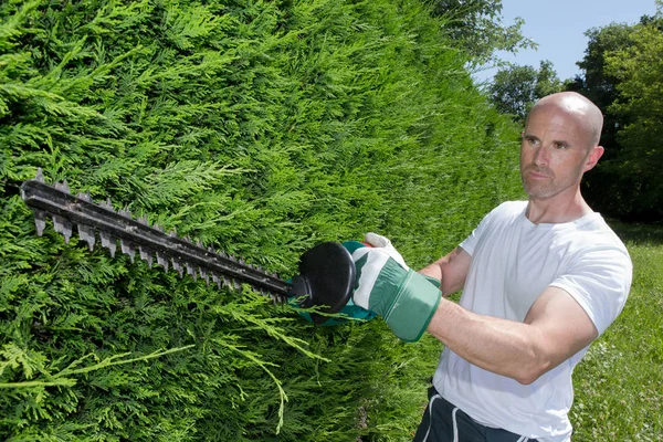 Klippa en häck och man — Stockfoto