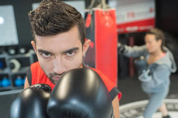 Portrét pejsek boxer — Stock fotografie