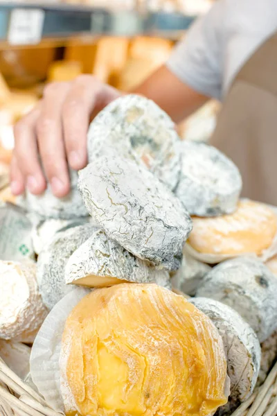 Basketful of cheese and aged — Stock Photo, Image
