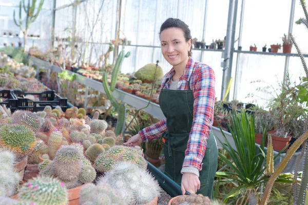 Vrouwelijke bloemist werken bij greenhouse — Stockfoto