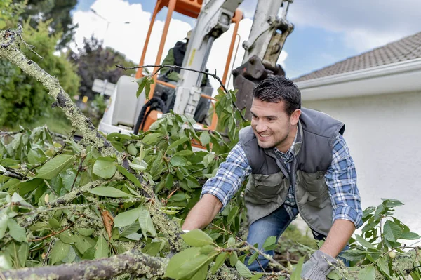 Man hantering grenar, digger i bakgrunden — Stockfoto