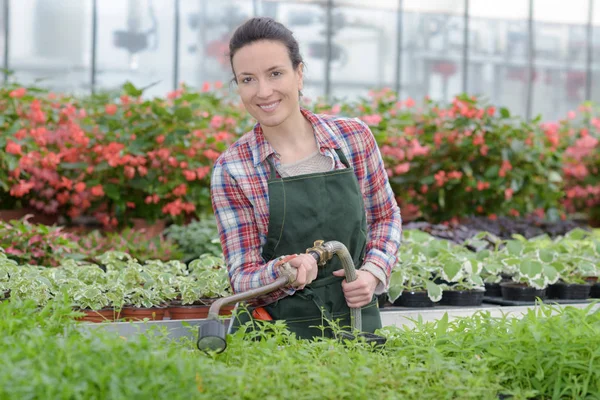 Agricultor mulher com ferramenta de jardinagem trabalhando em sua estufa jardim — Fotografia de Stock