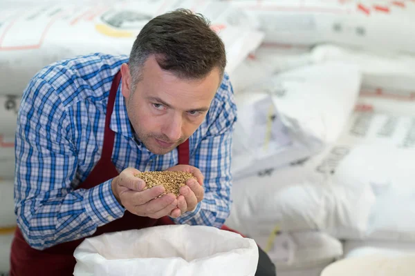 Business ägare lukta nybakade rostade kaffebönor — Stockfoto