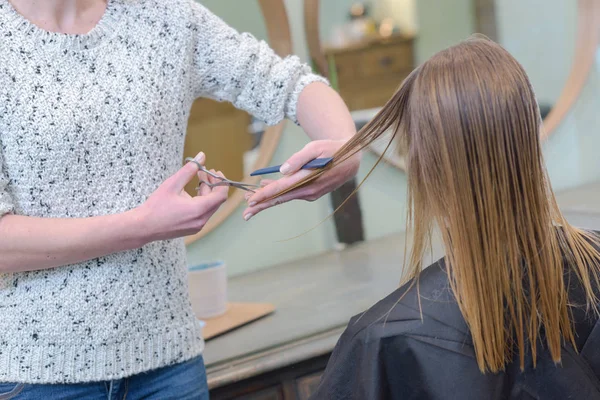Cutting hair in a beauty salon — Stock Photo, Image