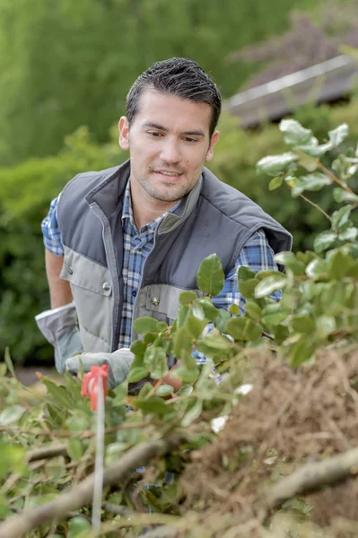 Jeune jardinier utilisant un outil pointu — Photo