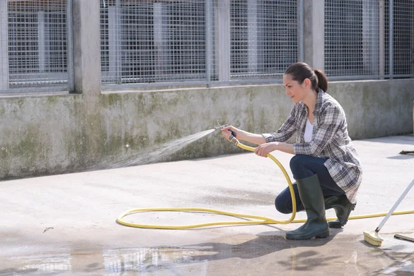 Cleaning Time Kennel Assistant — Stock Photo, Image