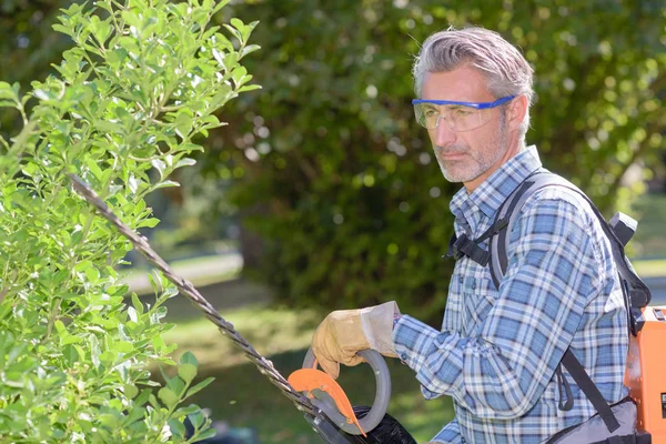 Man Trimmen Van Een Struik — Stockfoto