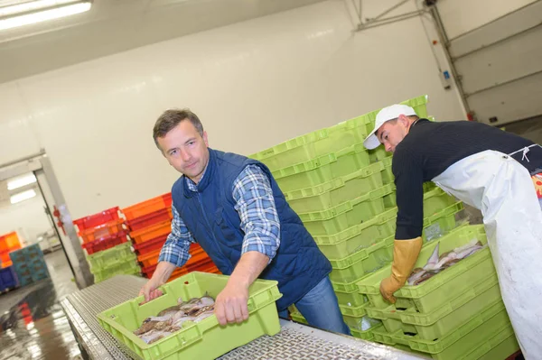 Förberedelse För Leverans Och Arbete — Stockfoto