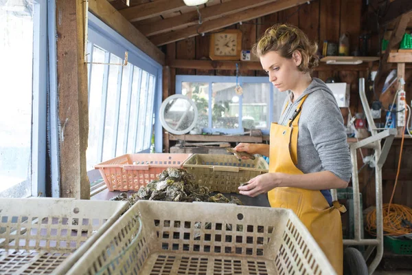 牡蛎农场女工 — 图库照片