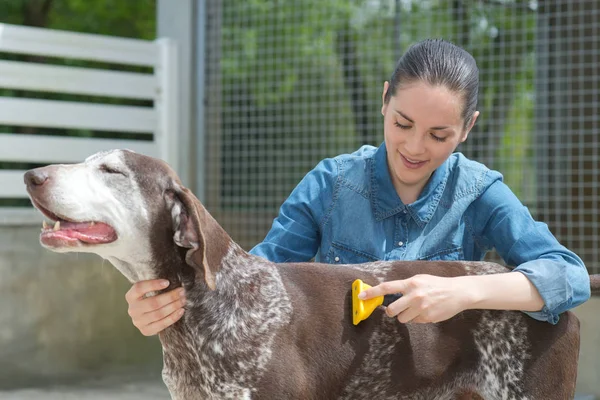 Vétérinaire femelle caressant chien à l'abri des animaux — Photo