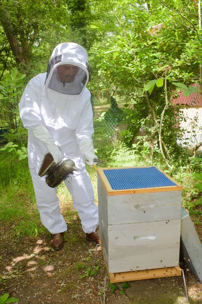 Abeja fumador y hombre —  Fotos de Stock