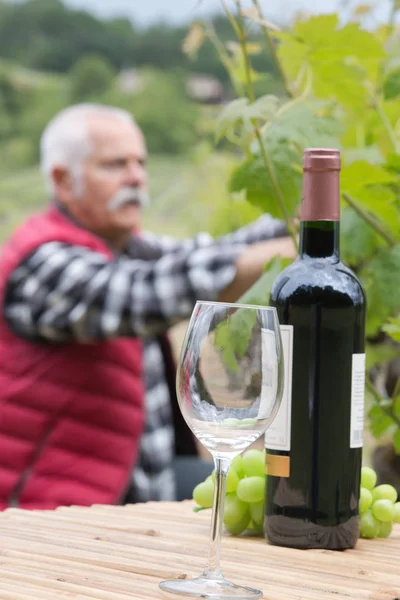 Weidenkorb Mit Trauben Und Weinflaschen Weinberg — Stockfoto