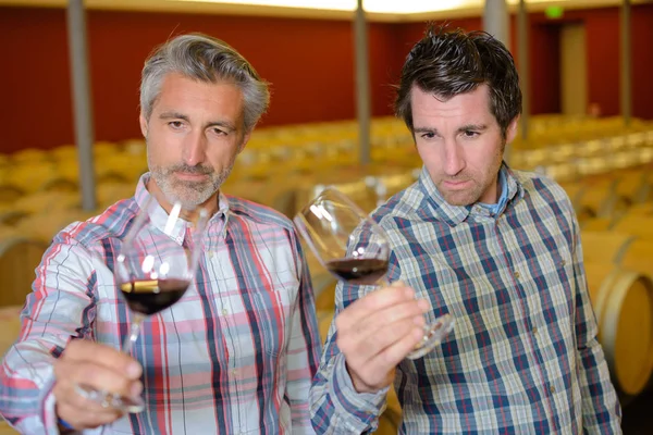 Sommelier Che Degustano Vino Cantina — Foto Stock