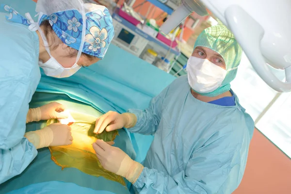 Cirurgiões Veterinários Sala Cirurgia — Fotografia de Stock