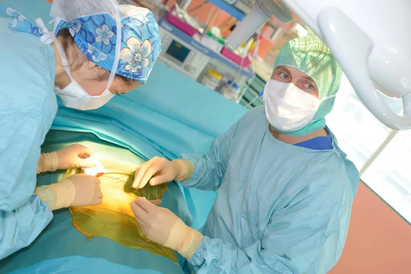 Vétérinaires Dans Salle Opération — Photo