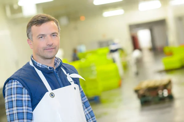 Uomo che indossa grembiule e lavoratore — Foto Stock