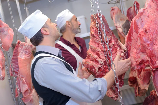 Carniceros Examinando Cadáveres Animales — Foto de Stock