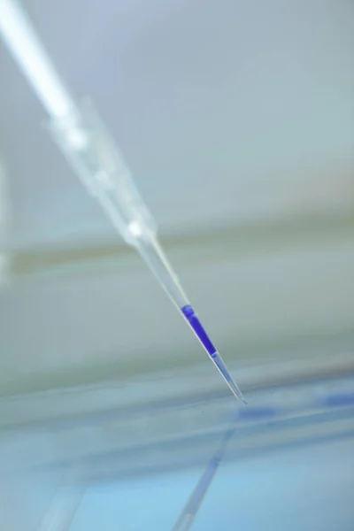 Seringue avec produit chimique violet à l'intérieur - concept de biologie et de chimie — Photo