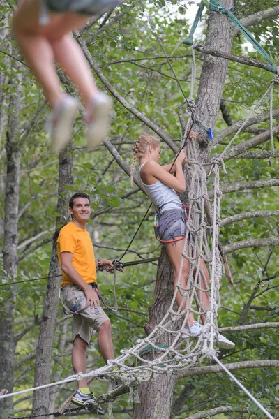 Volwassenen op assault parcours in de bomen — Stockfoto
