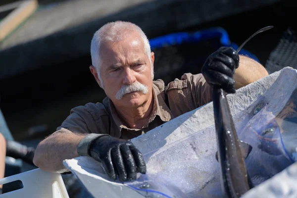 Homem que trabalha num peixeiro — Fotografia de Stock